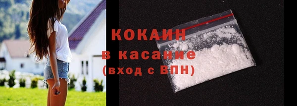 индика Магас