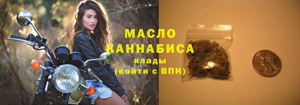 индика Магас