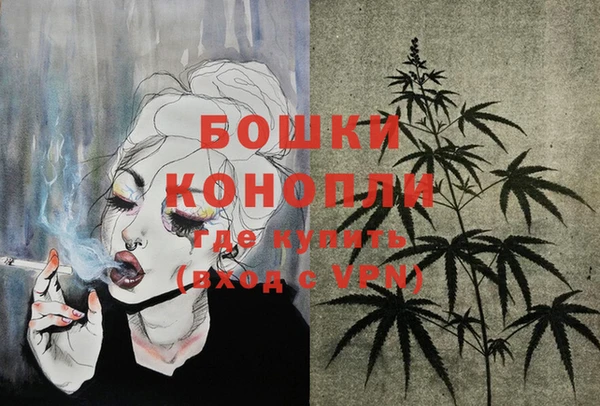 индика Магас