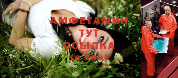 стаф Майский
