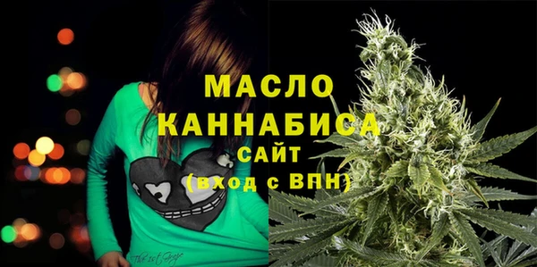 индика Магас
