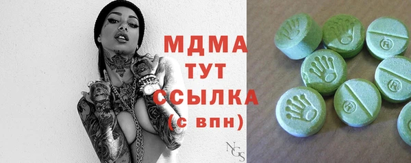индика Магас