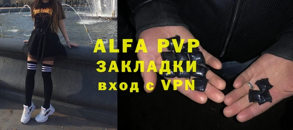 индика Магас