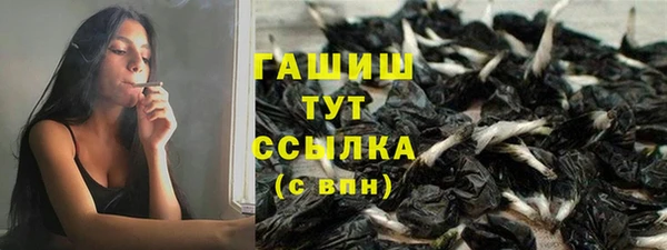 стаф Майский