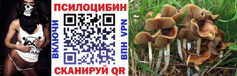 Псилоцибиновые грибы GOLDEN TEACHER  Батайск 